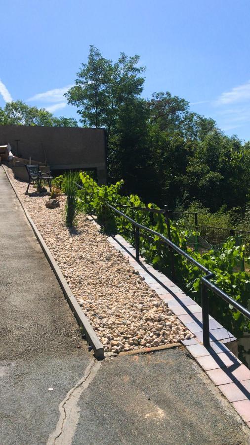 Schlossberg Apartments & Garten In Der Natur & Unweit Vom "Thueringer Meer" Unterwellenborn Exteriör bild